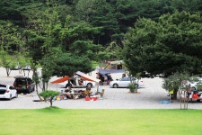 경주 더숲 관광농원