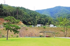 경주 더숲 관광농원 고캠핑