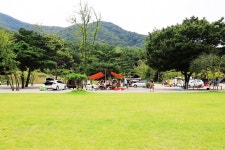 경주 더숲 관광농원