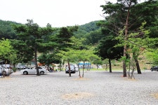 경주 더숲 관광농원 고캠핑