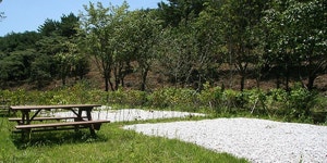 불영계곡 캠핑장