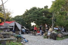 버드하우스 캠핑장 고캠핑