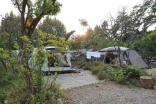 버드하우스 캠핑장