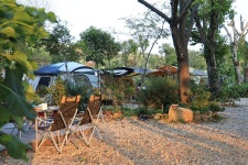 버드하우스 캠핑장 고캠핑