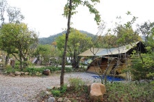 버드하우스 캠핑장