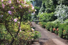 디-포레 카라반 파크