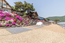 고목정