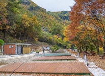 사계절 야영장 고캠핑