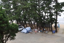 대부도나라캠핑장