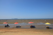 몽산포오토캠핑장