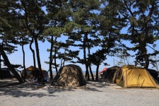 몽산포오토캠핑장