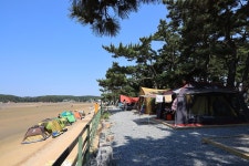 몽산포오토캠핑장 고캠핑