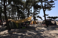 몽산포오토캠핑장 고캠핑