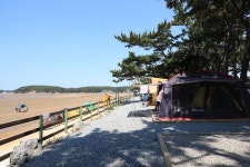 몽산포오토캠핑장