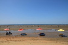 몽산포오토캠핑장