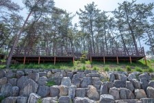 솔향기캠핑장 고캠핑