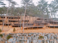 솔향기캠핑장 고캠핑