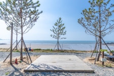 사목힐링캠프 태안캠핑농원