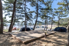 사목힐링캠프 태안캠핑농원