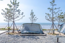 사목힐링캠프 태안캠핑농원