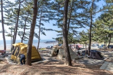 사목힐링캠프 태안캠핑농원