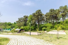 독립기념관 캠핑장 고캠핑