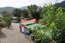 해오름 글램핑 고캠핑