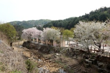 깊이울관광농원(깊이울 캠핑장)