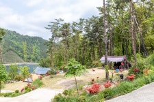 마로니에숲 캠핑장