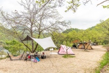 마로니에숲 캠핑장