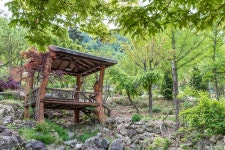 마로니에숲 캠핑장