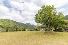 마로니에숲 캠핑장