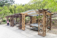 마로니에숲 캠핑장