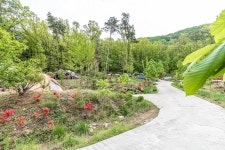 마로니에숲 캠핑장