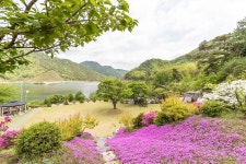 마로니에숲 캠핑장