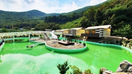 드위트리 글램핑 고캠핑