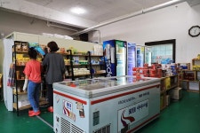 솔향강릉오토캠핑장