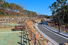 대왕암공원 캠핑장