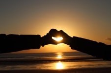 몽산포오토캠핑장 2구역 고캠핑