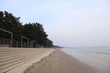 몽산포오토캠핑장 2구역 고캠핑