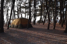 몽산포오토캠핑장 2구역 고캠핑