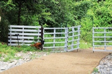 산유리캠핑장 고캠핑