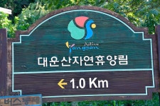 대운산자연휴양림 야영장