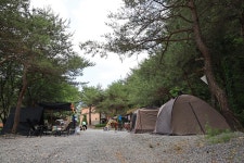 파라다이스캠프