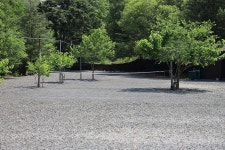 동양원목캠핑장 고캠핑