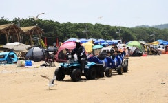 십리포해수욕장 야영장