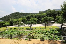 토일관광농원 고캠핑