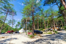 왕피천 숲속 캠핑장