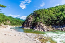 왕피천 숲속 캠핑장