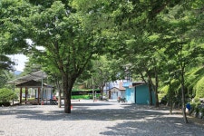 영월 솔향기 캠핑장